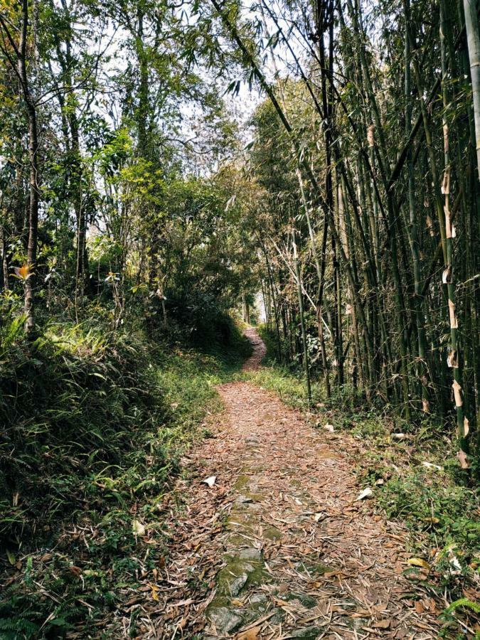 גנגטוק Enchanted Forest Farmstay מראה חיצוני תמונה